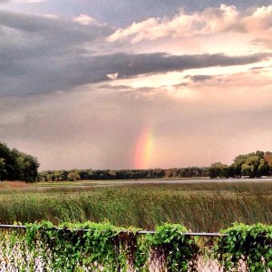 2015-07-18 20.51.41-1